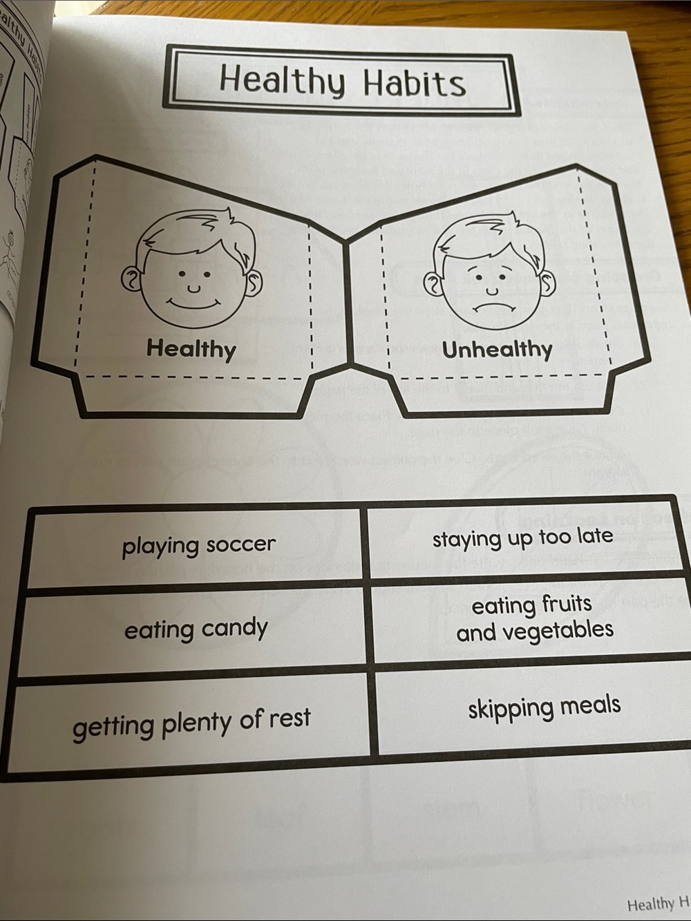 Interactive Notebooks Science Grade 1 NEW - Picture 5 of 13